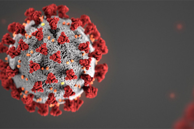 covid-19 cell